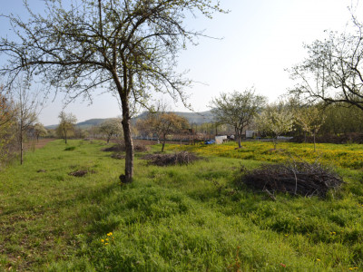 Teren de vanzare intravilan Goranu Valcea