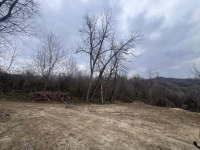 Teren 2500 mp Feteni-Valcea, priveliste spectaculoasa, zona linistita