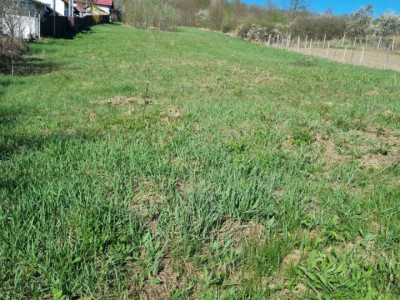 Teren intravilan 2652 mp Golesti Vatasesti, Valcea, zona linistita