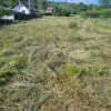 Teren intravilan 2652 mp Golesti Vatasesti, Valcea, zona linistita thumb 4
