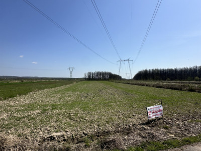 Teren de vânzare 4760Mp Stoilesti 