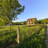 Casă de vânzare în Dăești – 206 mp contruiți, 1600 mp teren, regim P+1+M imaginea mica 2 Casă de vânzare în Dăești – 206 mp contruiți, 1600 mp teren, regim P+1+M thumb 2
