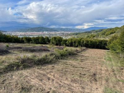 Teren 3000 mp de vanzare Budesti Racovita Valcea, panorama spectaculoasa