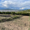 Teren 3000 mp de vanzare Budesti Racovita Valcea, panorama spectaculoasa thumb 1