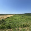 Teren intravilan+extravilan 2540Mp de vânzare zona Mihaesti  thumb 1