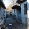 Casă de vânzare în Pietrari, județul Vâlcea – Teren 2.804 mp imaginea mica 19 Casă de vânzare în Pietrari, județul Vâlcea – Teren 2.804 mp thumb 19