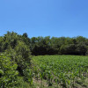 Teren de vanzare Francesti Manailesti Valcea, 10.676 mp, oportunitate investitie imaginea mica 3 Teren de vanzare Francesti Manailesti Valcea, 10.676 mp, oportunitate investitie thumb 3