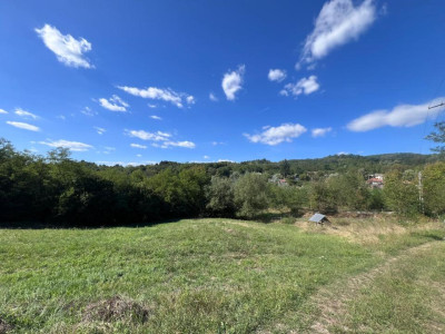 Teren 6200 mp + casa de vanzare Ocnele Mari | 4 min Strandul Fara Fund | Asfalt
