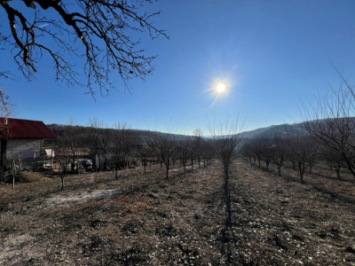 Teren de Vânzare în Comuna Golești - Sat Vătașești, Jud. Vâlcea